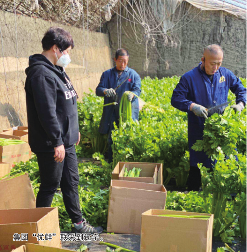 BG����(����)Ψһ�ٷ���վ